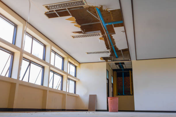 Reliable New Sharon, IA Water damage restoration Solutions